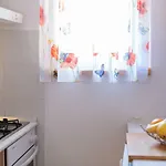Hrast
